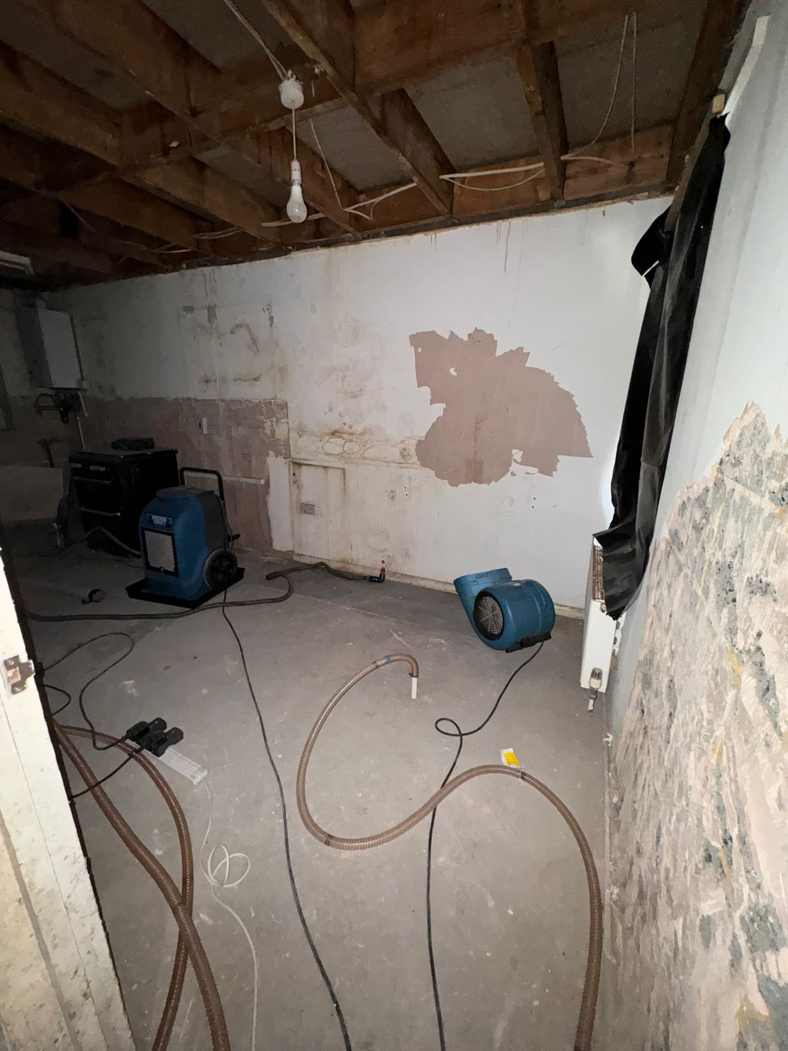 Before photo