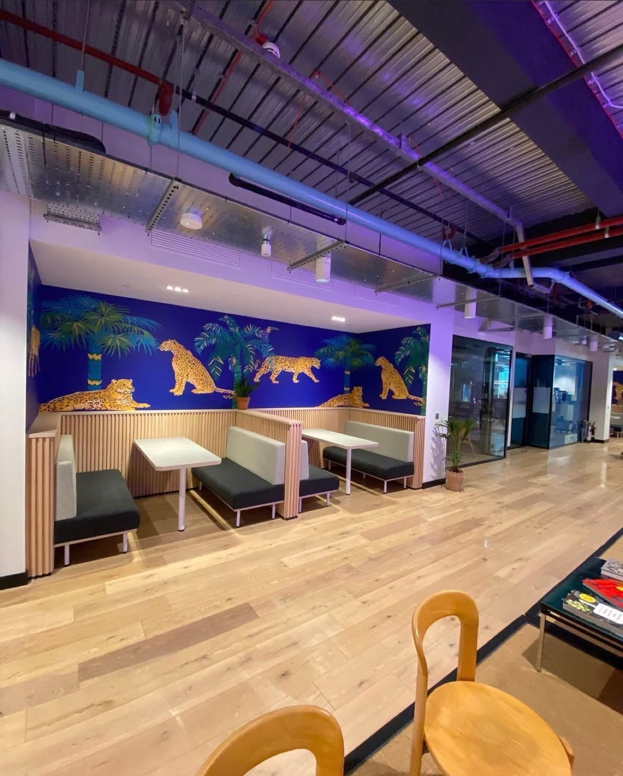 Office Refurbishment recent project 5